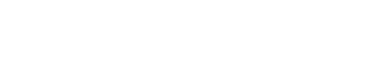 SkyeTec